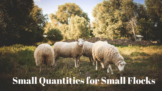 Small Quantities for Small Flocks Small Quantities for Small Flocks